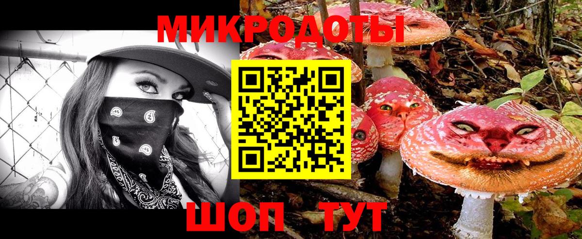Галлюциногенные грибы прущие грибы Приморско-Ахтарск